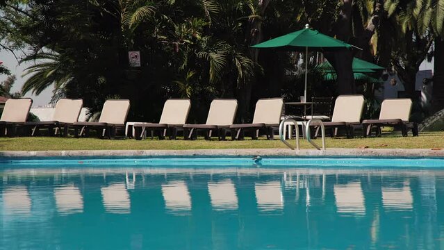 Unrecognizable worker watering greenery by the poolside. Cinematic, luxurious property with swimming pool and lush, green garden. High quality 4k footage