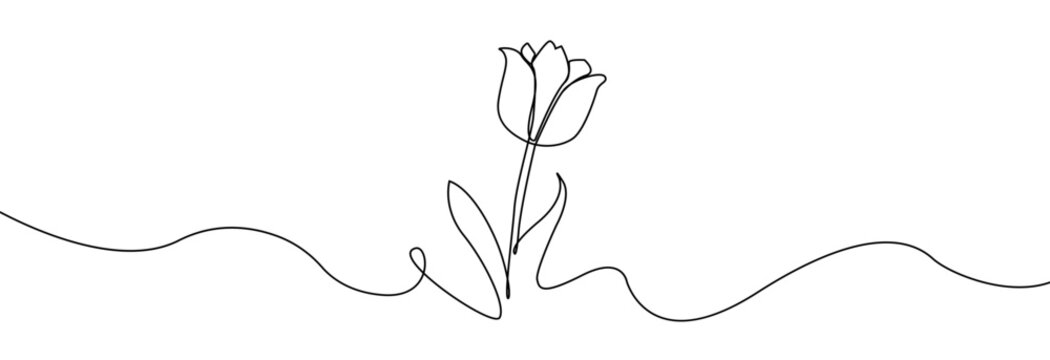 Tulip one line drawing.Abstract flower continuous line. Minimalist contour drawing of tulip. Continuous line drawing of flower tulip.Hand drawn sketch of flower with leaves.