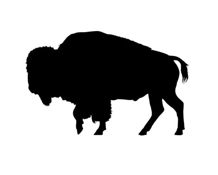 Bison silhouette - vector illustration