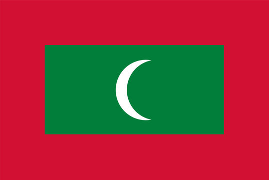 Maldives flag illustration vector design