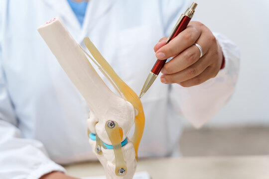 A doctor uses a knee joint model to demonstrate anatomy, diagnose conditions like osteoarthritis, and discuss treatment options, including surgery and therapy, with a patient in a clinical setting.