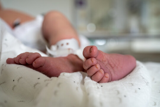 A newborn babys feet wrapped in a soft white blanket with black prints. The baby wears an identification bracelet, symbolizing hospital care. Image evokes feelings of new beginnings and tenderness.