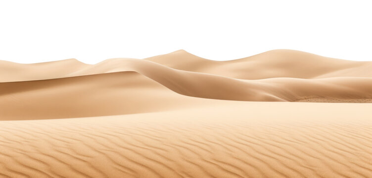 PNG Sand dunes desert border backgrounds outdoors nature.