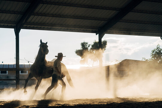 Man with horse during dressage work