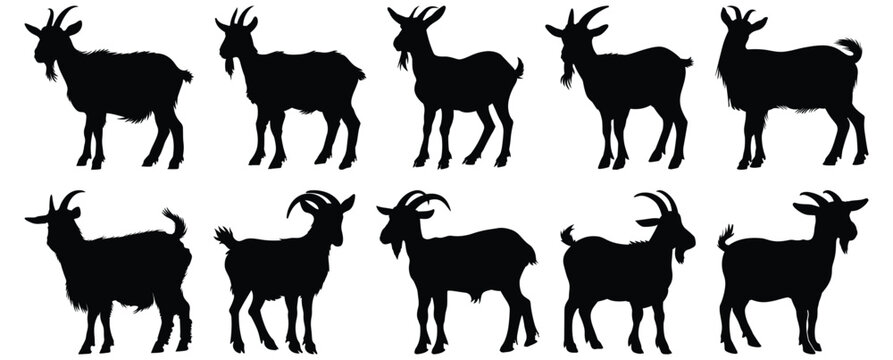 Goat silhouettes set, animal pack of vector silhouette design, isolated background