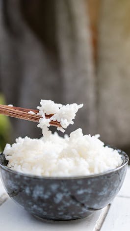 Bowl of cooked white rice