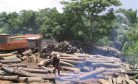 Chinese Demand for Rosewood Empowers Some of Africa&#8217;s Deadliest Terrorist Groups