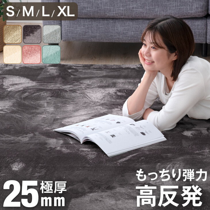 【ポイント2倍!1/3迄】 楽天1位 高反発 ラグ 厚手 【防音＆クッション性UP】 極厚 25mm フランネル 防音 滑り止め付 マイクロファイバー ラグマット カーペット 130×185 / 185×185 / 200×250 / 200×300 絨毯 高反発 厚手 ホットカーペット対応 床暖房対応