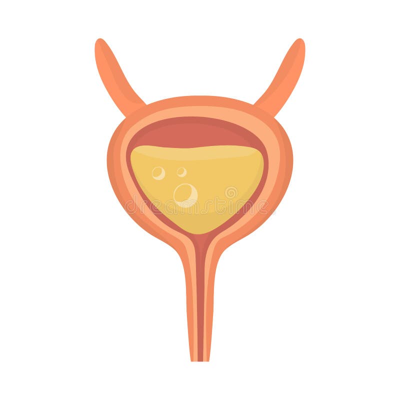 Isolated Object of Incontinence and Bladder Symbol. Set of Incontinence ...