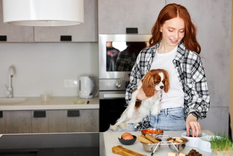 Dog Feeding Lady Stock Photos - Free & Royalty-Free Stock Photos ...