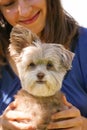 Girl with Maltese poodle