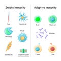 Innate and Adaptive immunity. comparison and difference