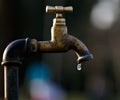 A leaky tap wasting water