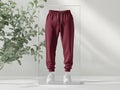 Maroon Sweatpants in a Seamless 3D Rotation Mockup