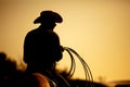 Rodeo cowboy silhouette