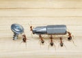 Team of ants work with screwdriver, teamwork