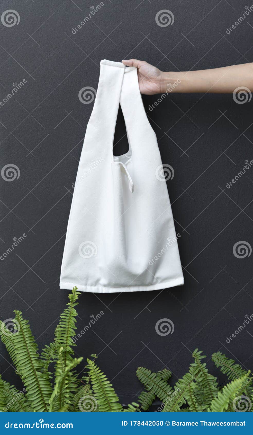 Download Hand Holding Bag Canvas Fabric For Mockup Blank Template ...