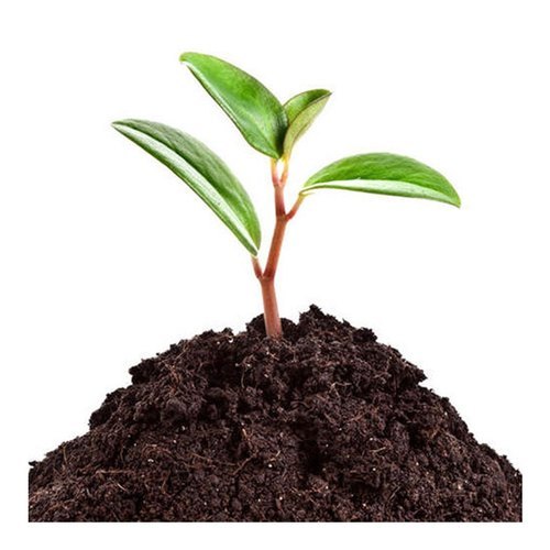 Bio Fertilizer - A Grade, Non-Toxic Brown Powder | Eco-Friendly, Biodegradable, Controlled Release for Promoting Plant Growth