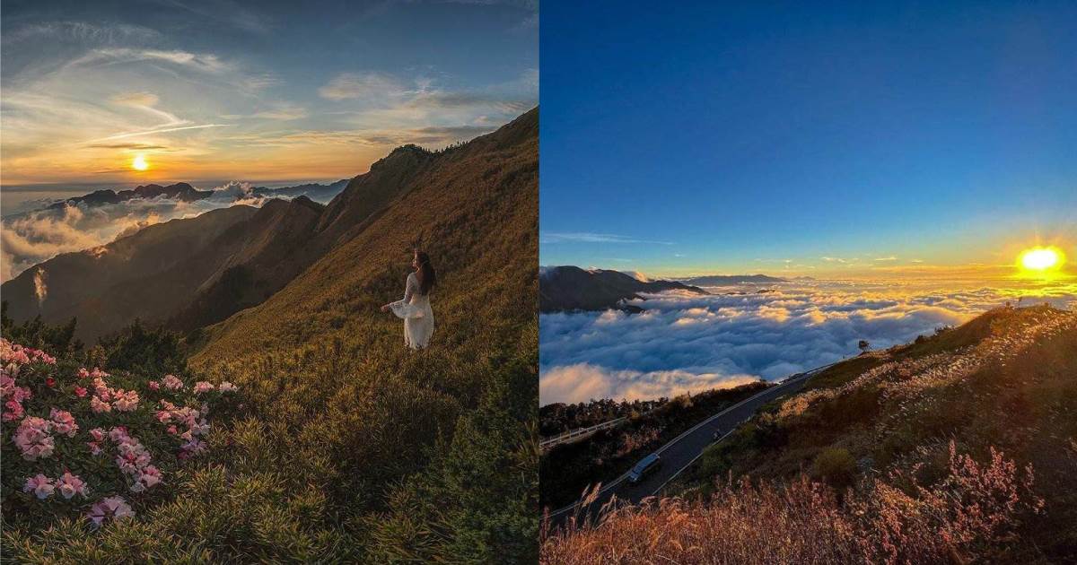 合歡山,曙光,2024曙光,合歡山曙光,迎曙光景點,武嶺,石門山,松雪樓,合歡山日出,台灣百岳,合歡山日出攻略