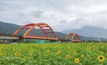 花蓮｜四大必訪景點推薦！花海中打卡紅色鐵橋、漫遊森林遊樂區