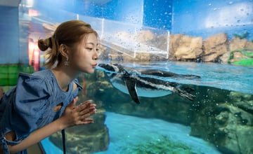 桃園｜「Xpark銀河七夕祭」：漫遊水族館體驗日本七夕百年傳統，輕鬆感受浪漫氛圍！