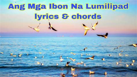 Ang Mga Ibon Na Lumilipad Lyrics And Chords Buhayayganyan Youtube