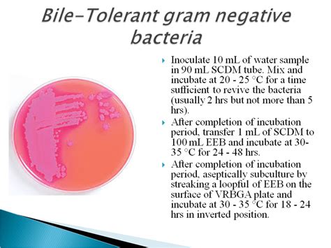 Water Quality Monitoring 2023 Microbiology Guidelines