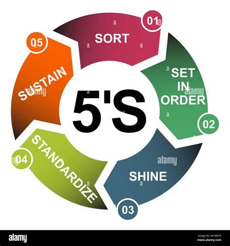 5s Methodology Kaizen Management From Stock Vector Colourbox Images