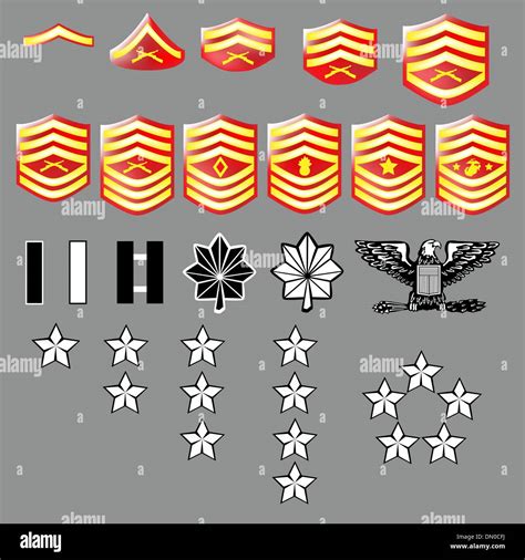 Us Marine Corps Rank Insignia Stock Vector Art And Illustration Vector