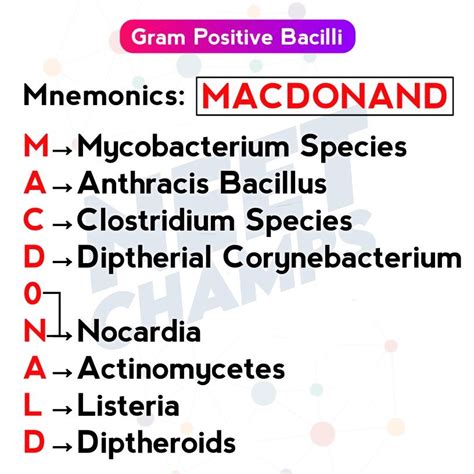 Trick To Remember Gram Positive Bacteria Microbiology Study Medical