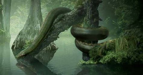 Titanoboa The Gigantic Snake That Terrorized Prehistoric Colombia