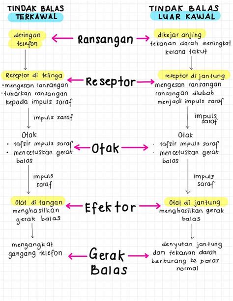 Silibus Sains Tingkatan 3 Silibus Sains Tingkatan 3 Nathanaelcxt