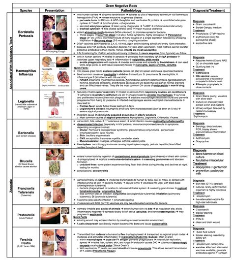 Gram Negative Rods Bacteria List