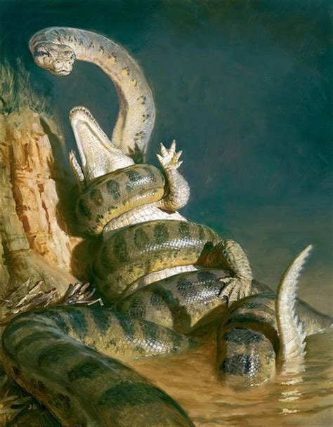 Titanoboa The Giant Snake