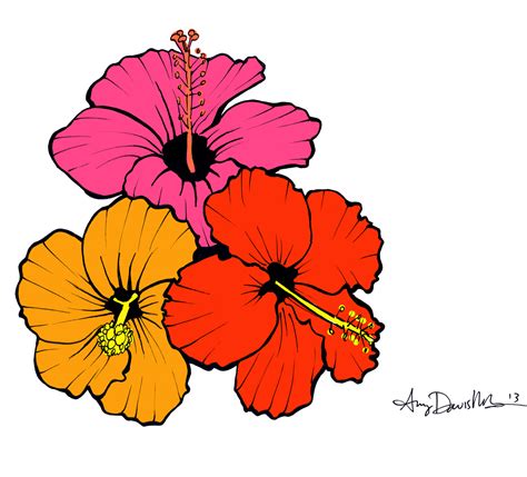 Hibiscus Flower Drawing Clipart Best Clipart Best