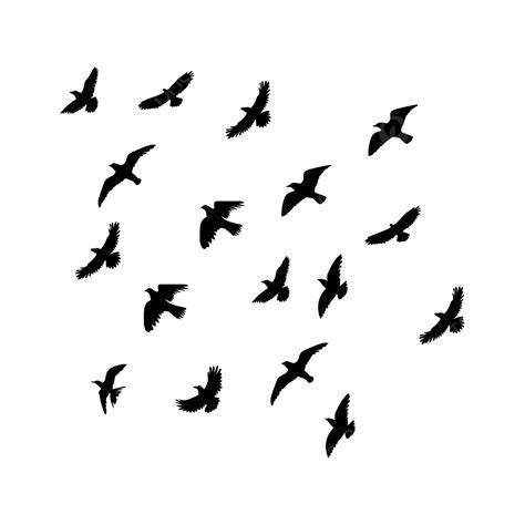 Flying Birds Vector Illustration Bird Birds Flying Bird Png And