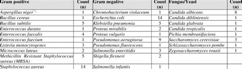 List Of Gram Positive And Negative Bacteria NBKomputer