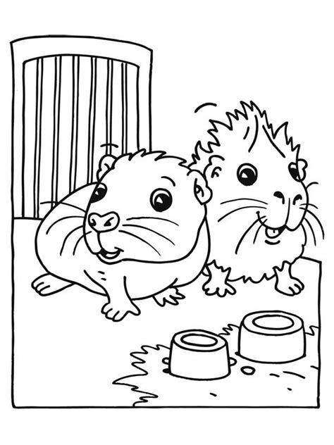 Actually, the icon of the animal comes from the ears and the nose. Cute Baby Guinea Pig Coloring Page | Color Luna