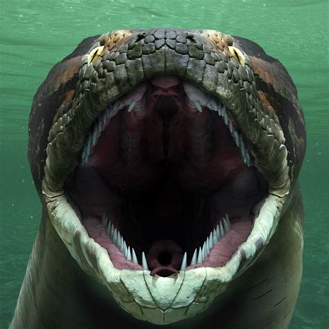 Titanoboa The Monster Snake That Ruled Prehistoric Colombia Ancient