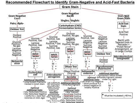 Gram Positive Cocci Flow Chart