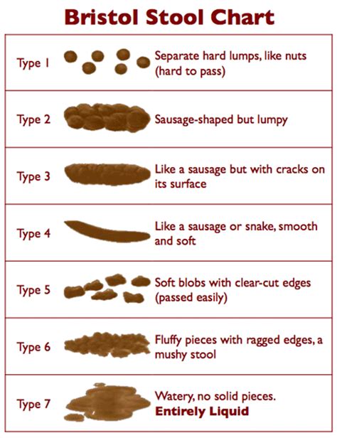 Bristol Stool Chart Faecal Continence Foundation Of Australia