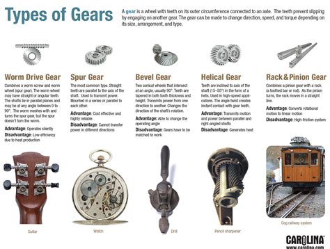 Infographic Types Of Gears Carolina Biological Supply