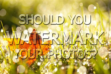 What Is A Watermark What Is A Watermark And How To Watermark Photos