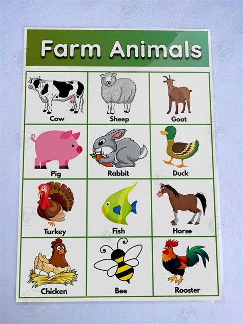 Farm Animals Laminated Educational Chart A4 Mga Hayop Sa Bukid Wall