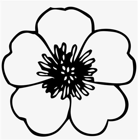 How To Draw A Simple Flower Clipart Library Clip Art Library