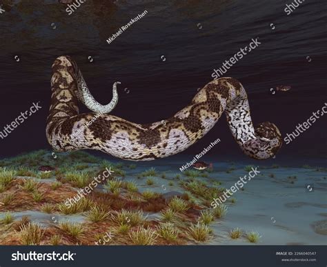 Titanoboa The Giant Snake