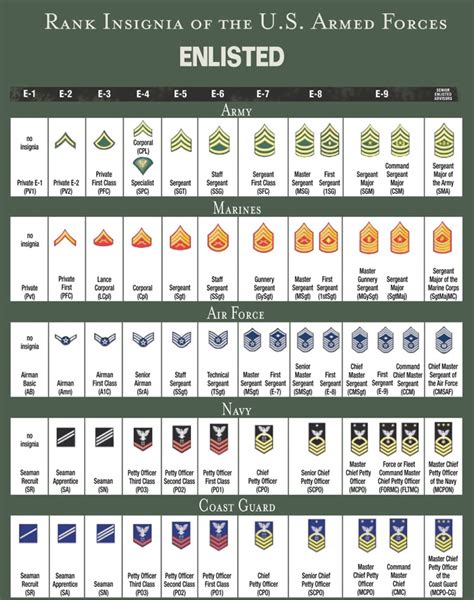 United States Military Rank Structure For The Air Force Army Marines