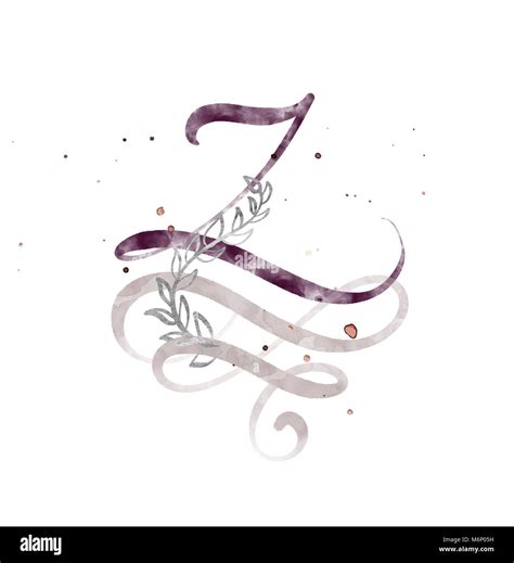 Hand Drawn Calligraphy Letter Z Watercolor Script Font Isolated