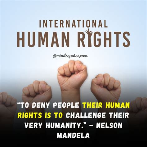 60 Best Human Rights Day Quotes Wishes And Messages