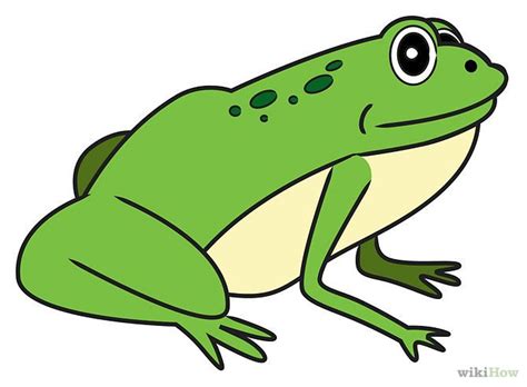 Como Dibujar Una Rana Sencilla Imagui Frog Illustration Drawings Frog